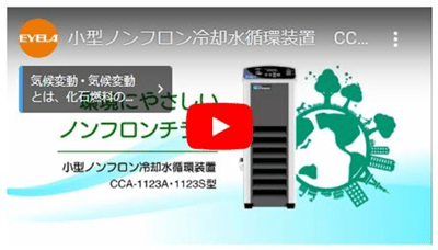 image-png-Oct-29-2024-02-46-48-4171-AM