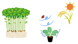 incubator_details_v4_2