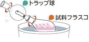 trapkyuu_3