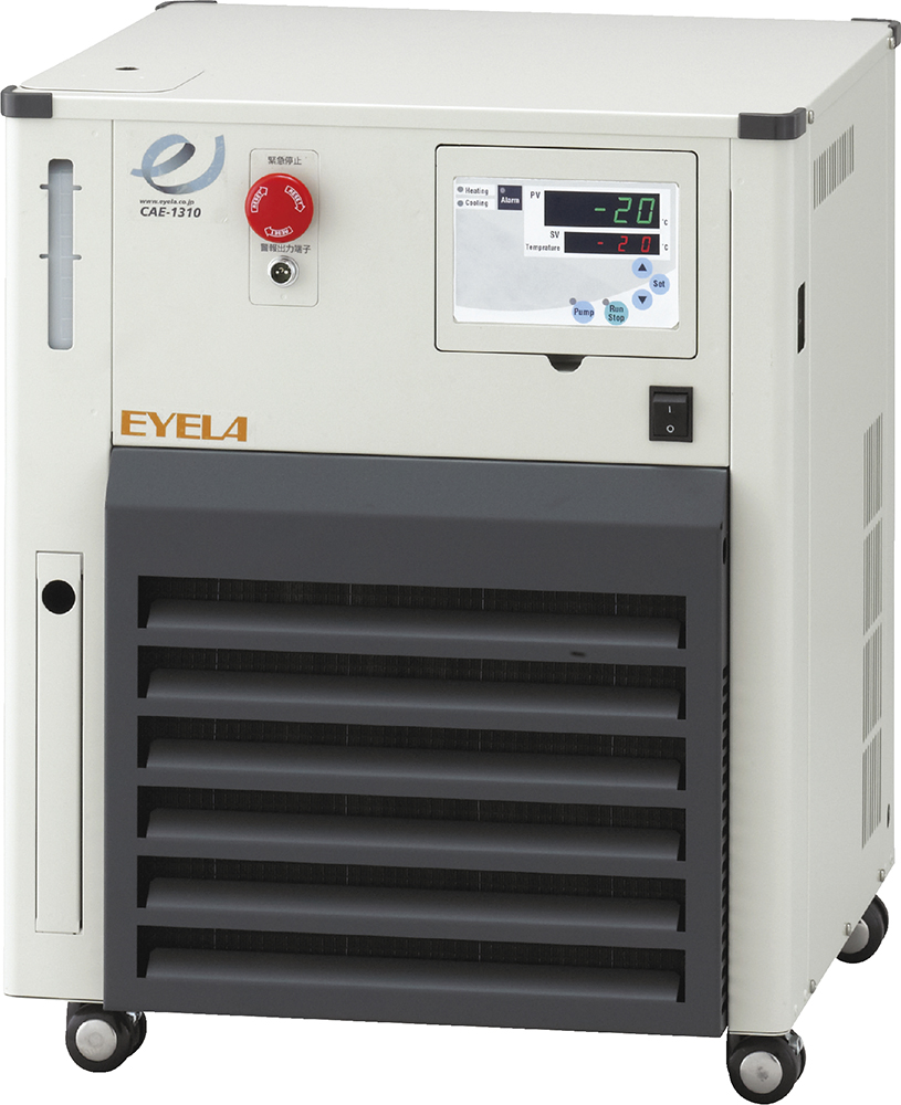 cae_1310s